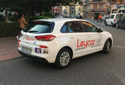 ¿Cuál es el precio medio de vinilos de coche?